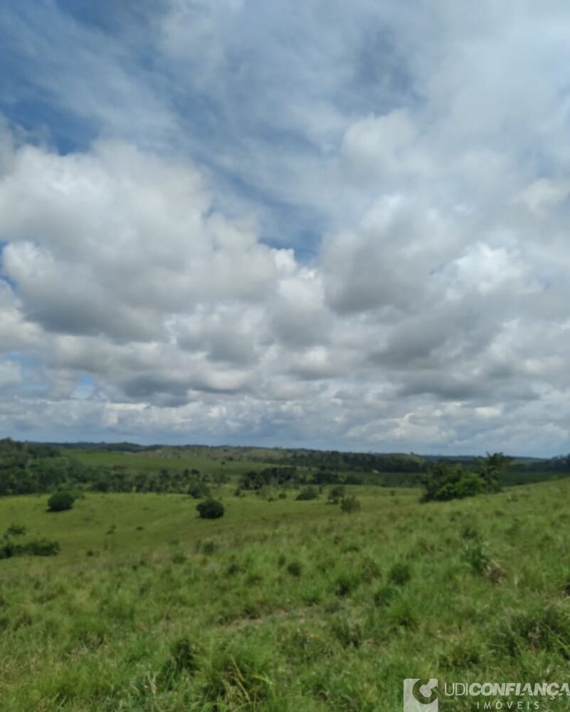 Fazenda-Sítio-Chácara - Foto 2
