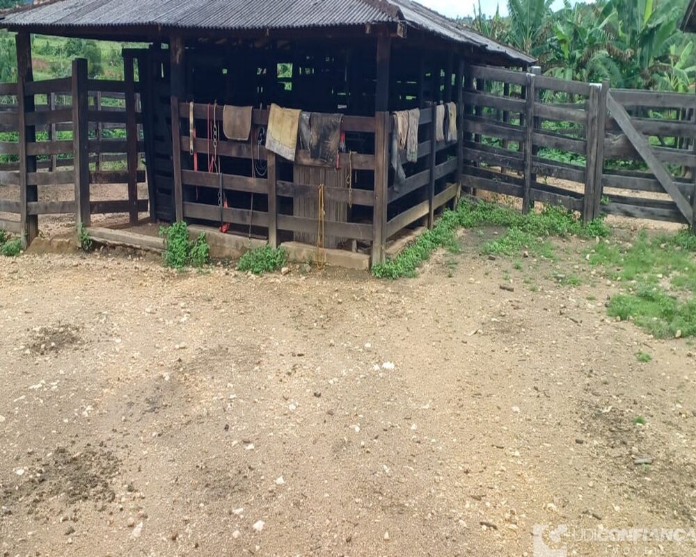 Fazenda-Sítio-Chácara - Foto 3