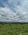 Fazenda - Foto 2