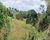 Fazenda - Foto 4