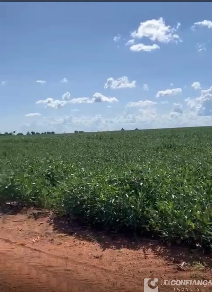 Fazenda - Foto 12