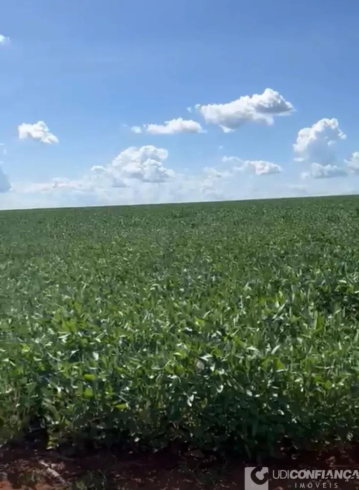 Fazenda - Foto 6