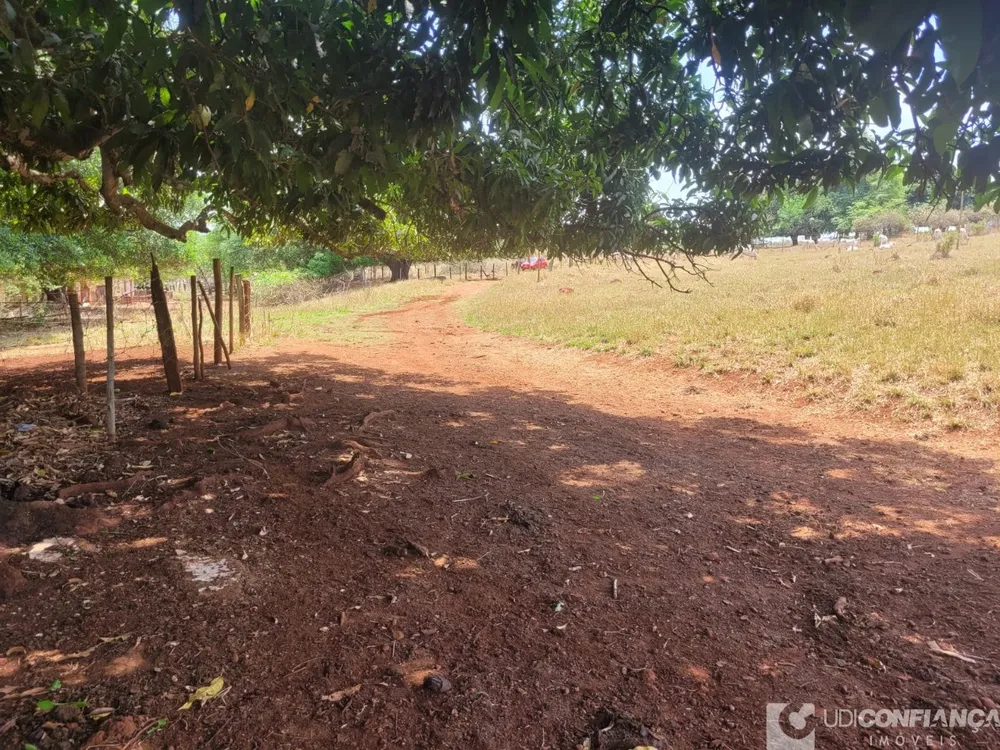 Fazenda - Foto 6