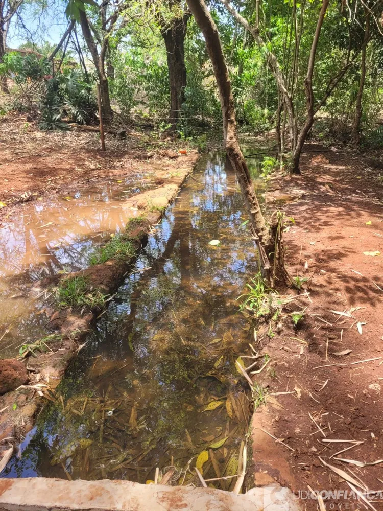 Fazenda - Foto 4
