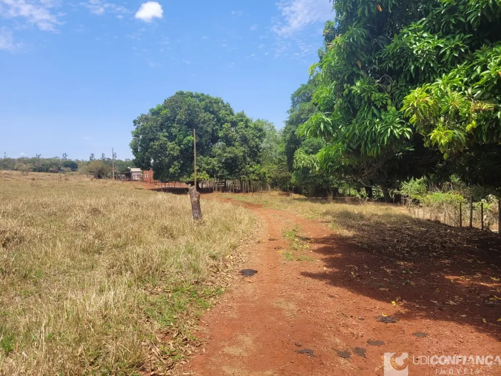 Fazenda - Foto 3