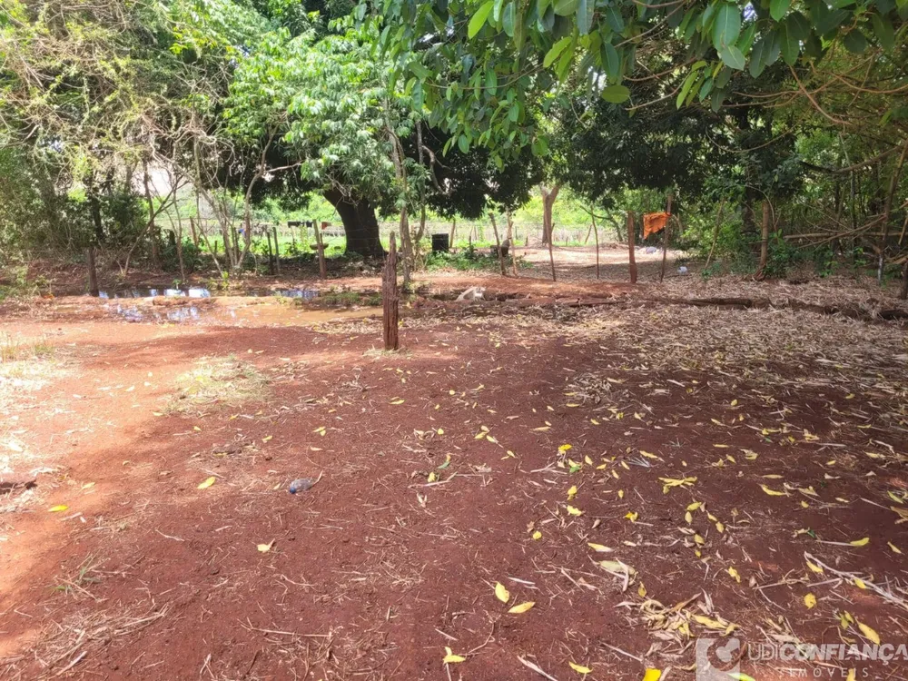 Fazenda - Foto 5