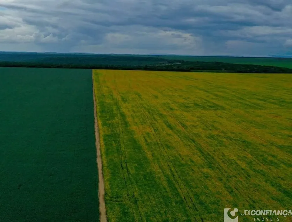 Fazenda - Foto 6