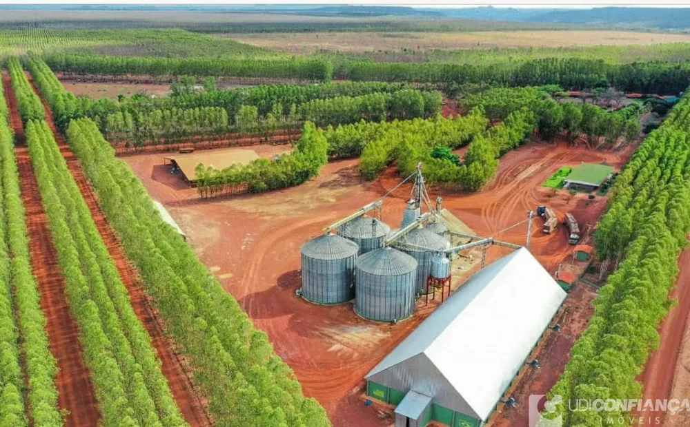 Fazenda - Foto 4