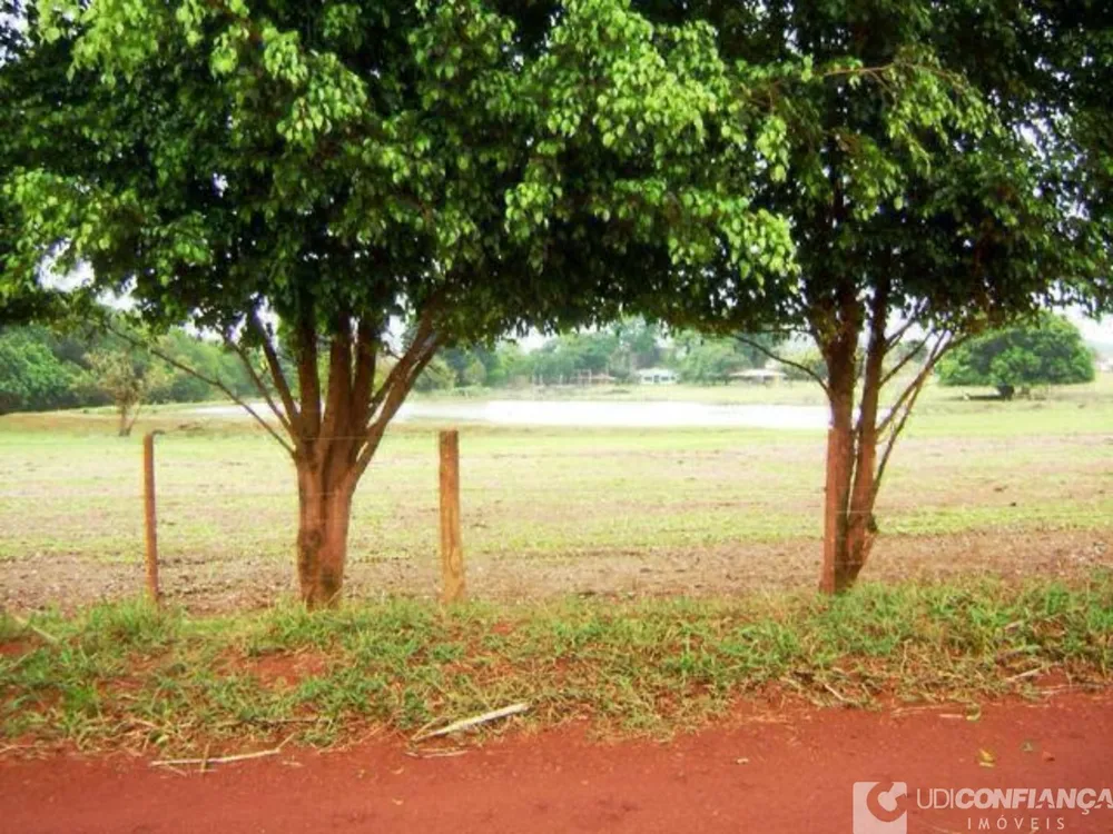 Fazenda - Foto 10