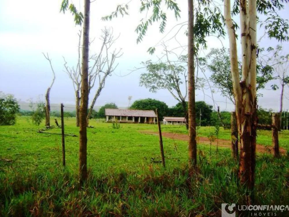 Fazenda - Foto 7
