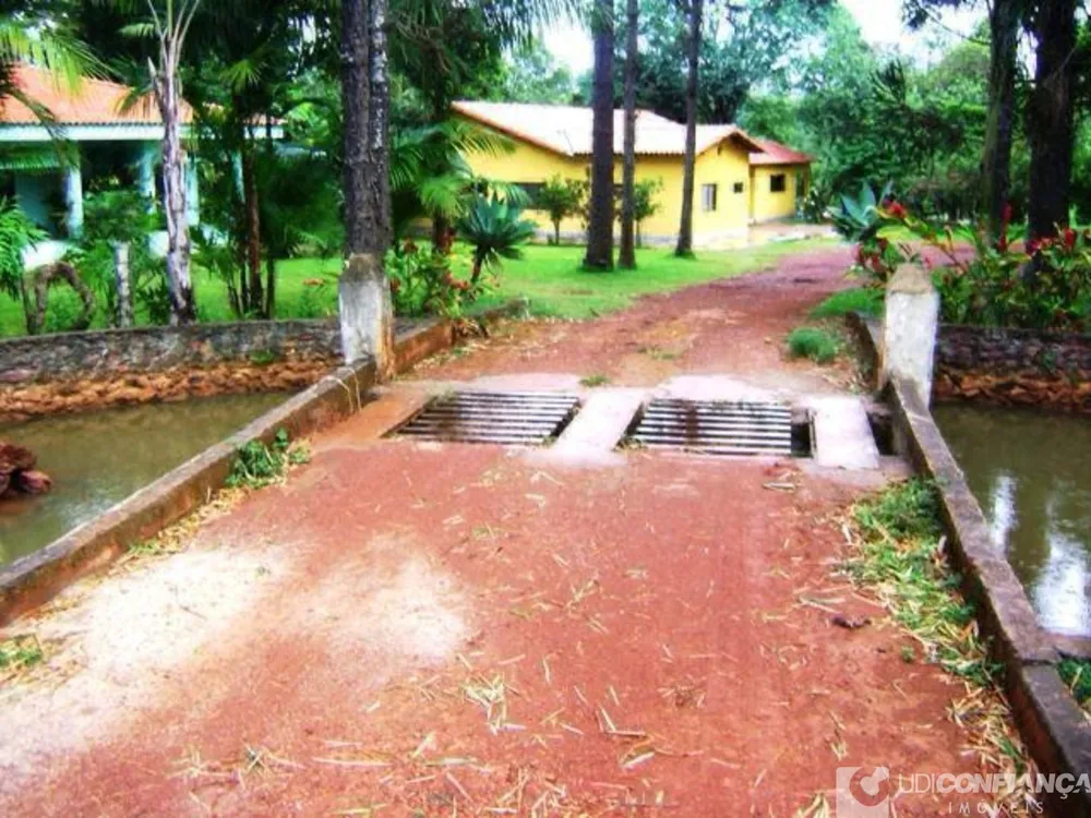 Fazenda - Foto 4