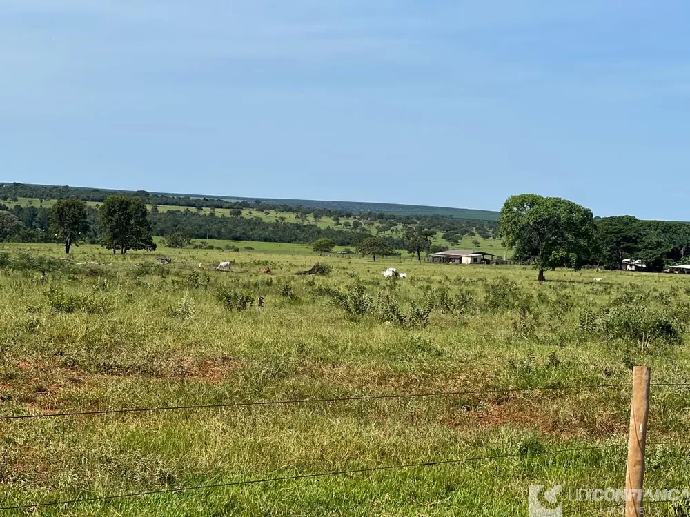 Fazenda - Foto 7