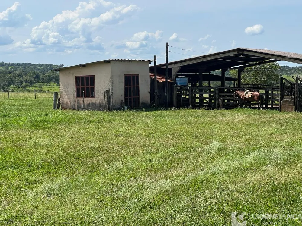 Fazenda - Foto 1