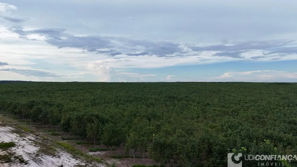 Fazenda - Foto 2