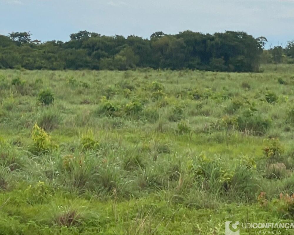 Fazenda à venda - Foto 11