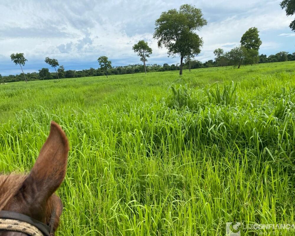 Fazenda à venda - Foto 2