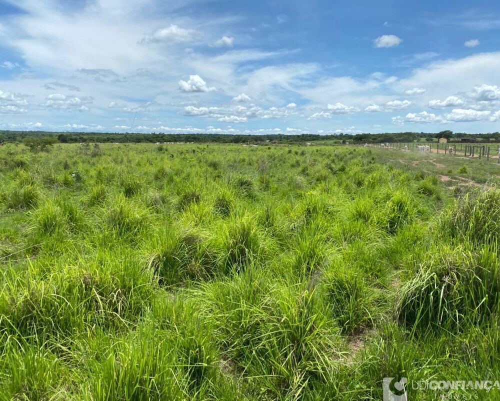 Fazenda à venda - Foto 4