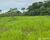 Fazenda-Sítio-Chácara - Foto 6