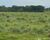Fazenda-Sítio-Chácara - Foto 11
