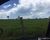 Fazenda-Sítio-Chácara - Foto 5