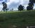 Fazenda-Sítio-Chácara - Foto 3