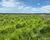 Fazenda-Sítio-Chácara - Foto 4