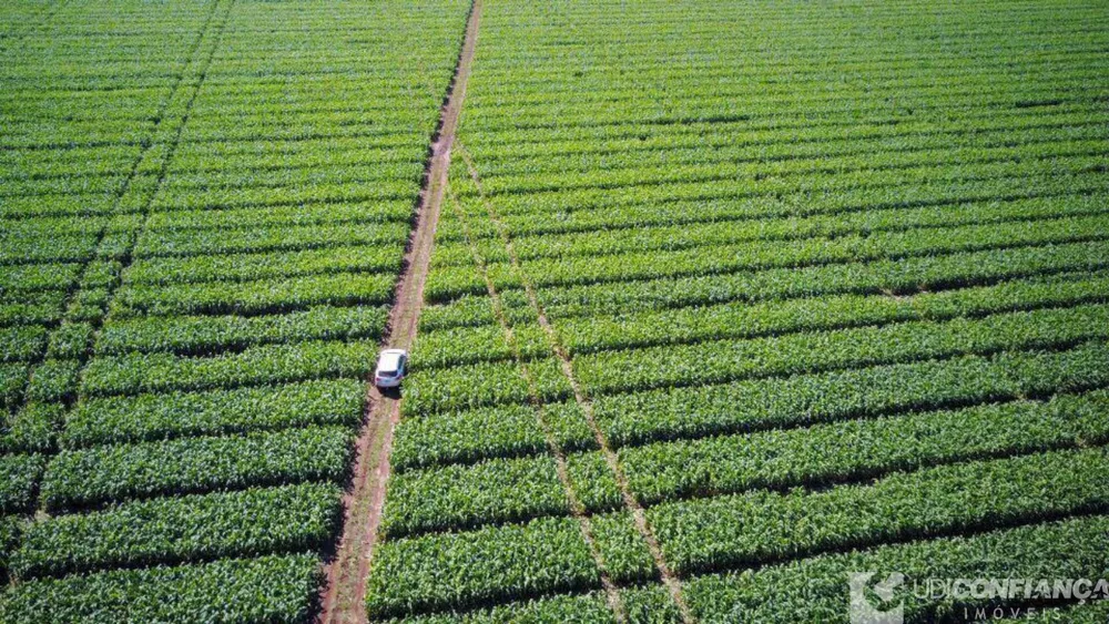 Fazenda à venda - Foto 1