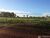 Fazenda - Foto 2