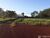 Fazenda - Foto 4