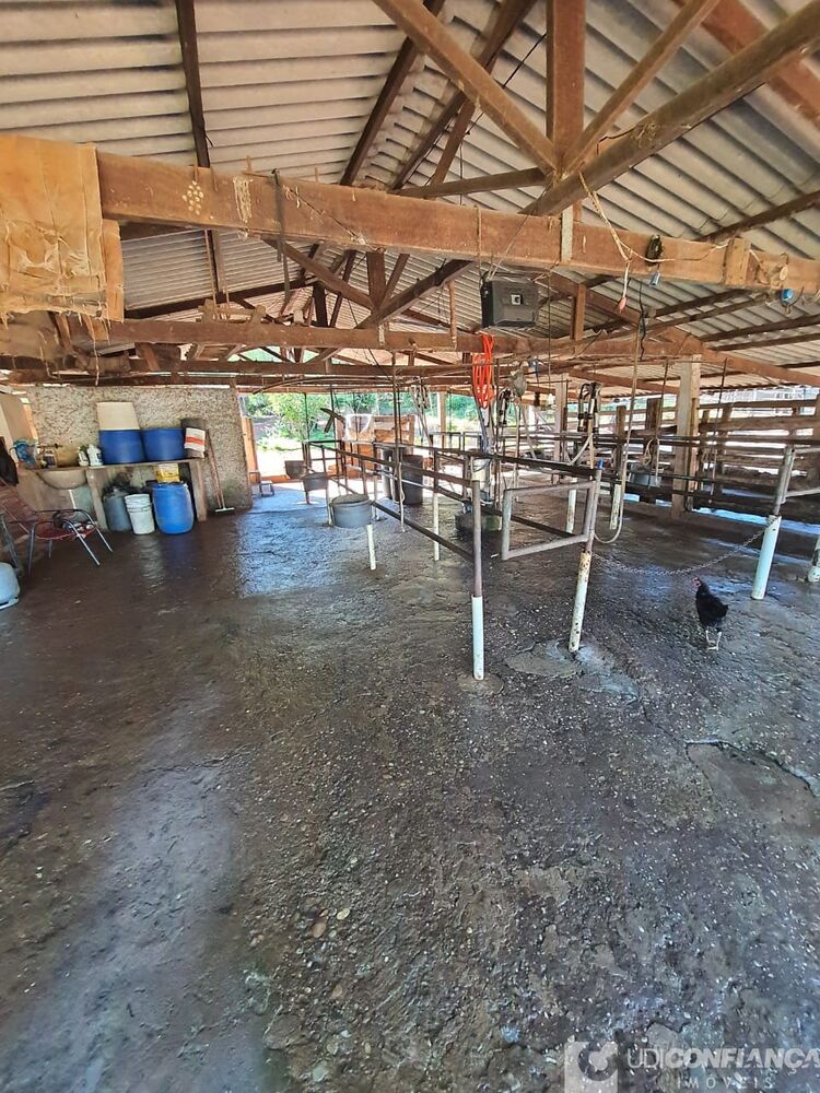 Fazenda à venda, 15m² - Foto 4