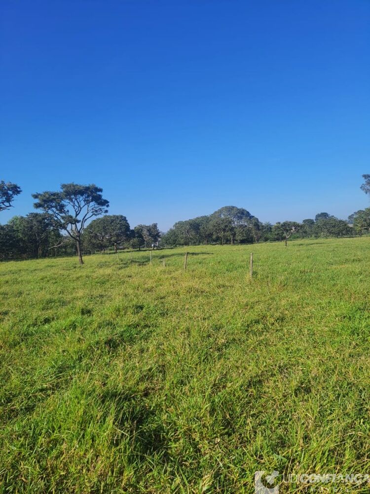 Fazenda à venda, 15m² - Foto 2