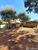 Fazenda - Foto 3