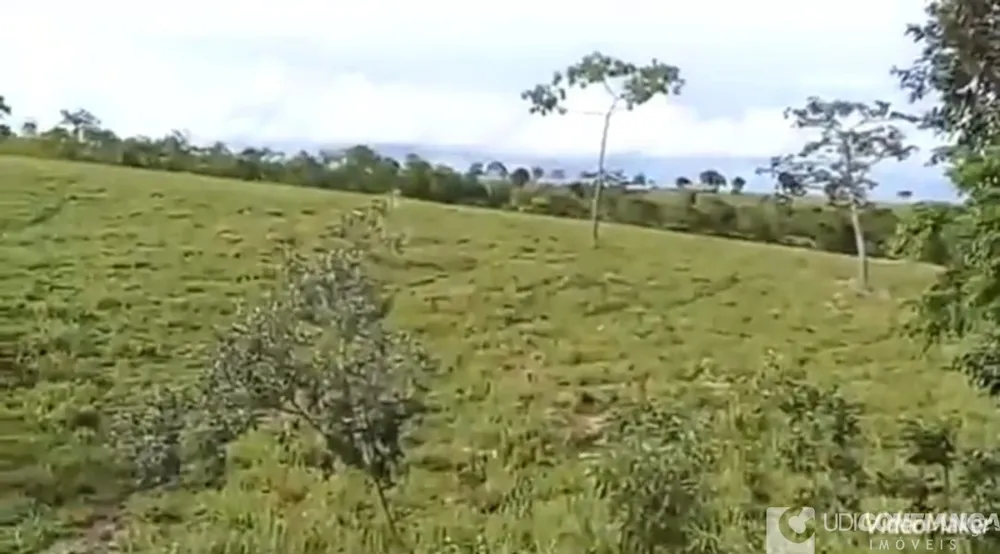Fazenda - Foto 4