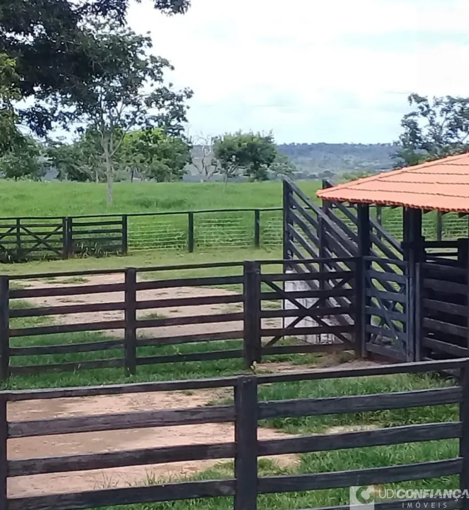 Fazenda - Foto 6