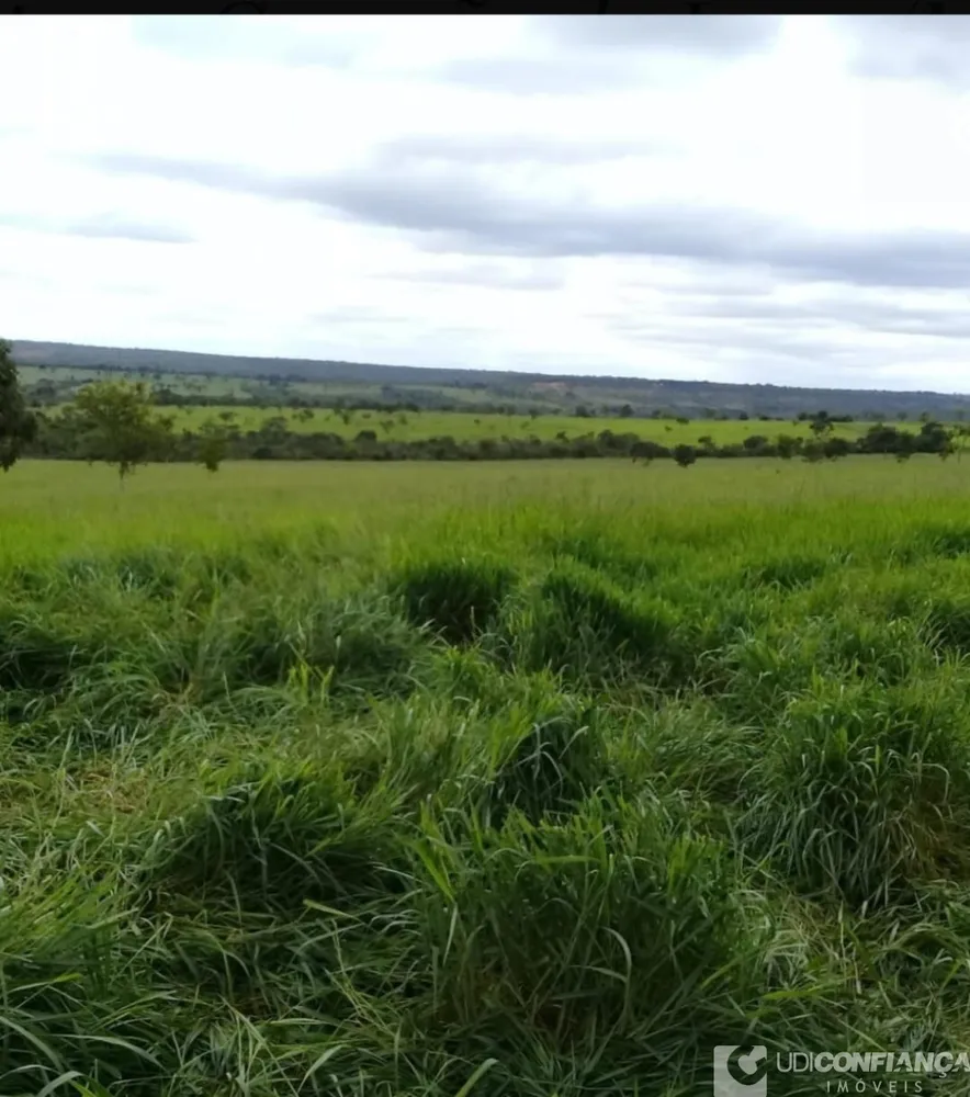 Fazenda - Foto 4