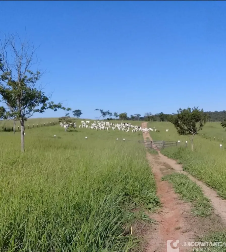 Fazenda - Foto 1
