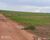 Fazenda - Foto 1