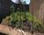Terreno, 360 m² - Foto 1