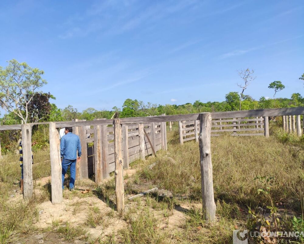 Fazenda - Foto 3