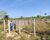 Fazenda-Sítio-Chácara - Foto 3
