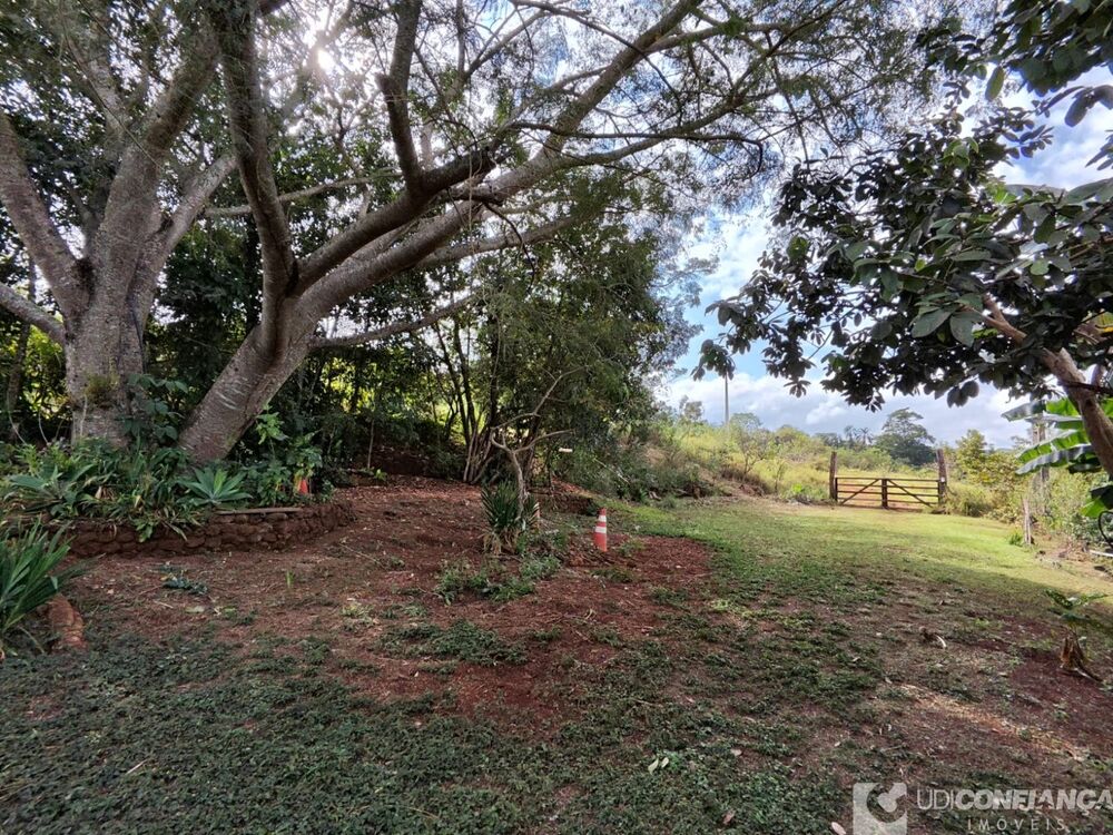 Sítio à venda - Foto 4