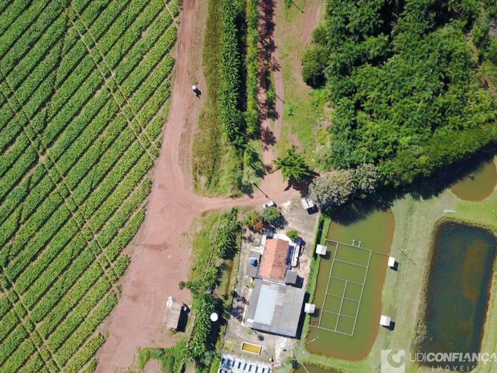 Fazenda - Foto 7