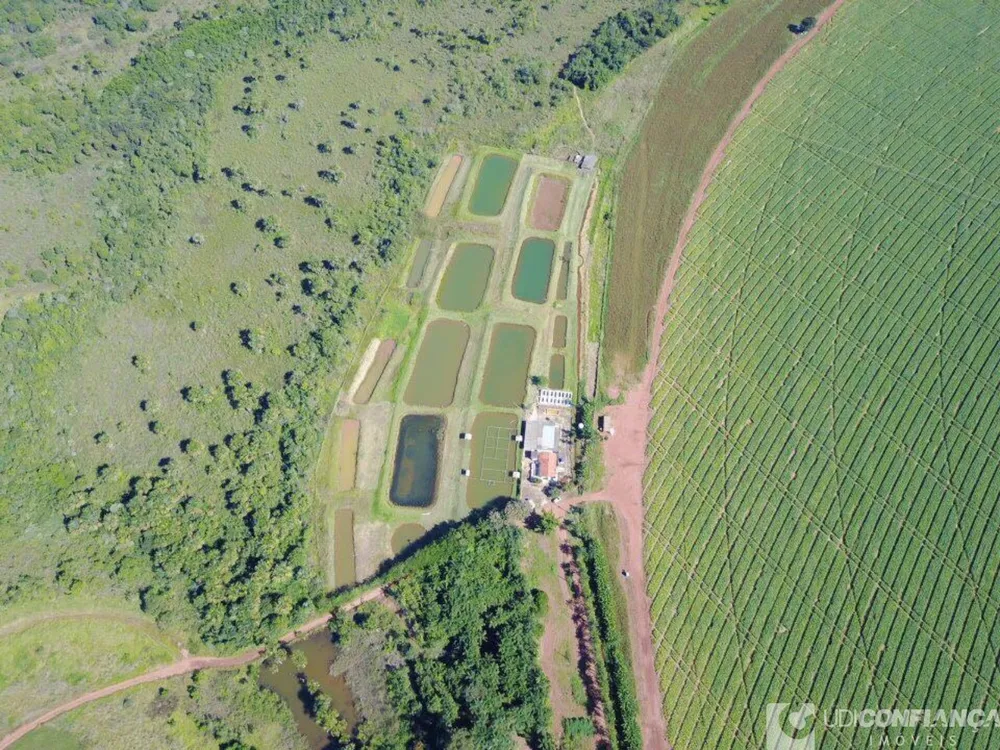 Fazenda - Foto 2