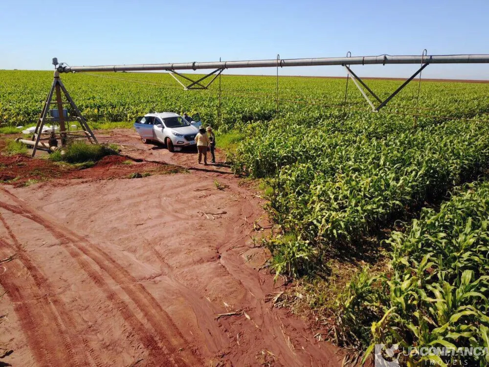 Fazenda - Foto 4