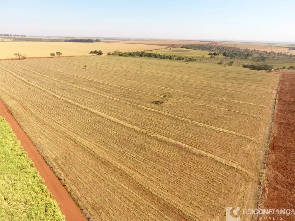 Fazenda - Foto 1