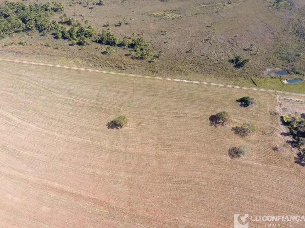 Fazenda - Foto 5