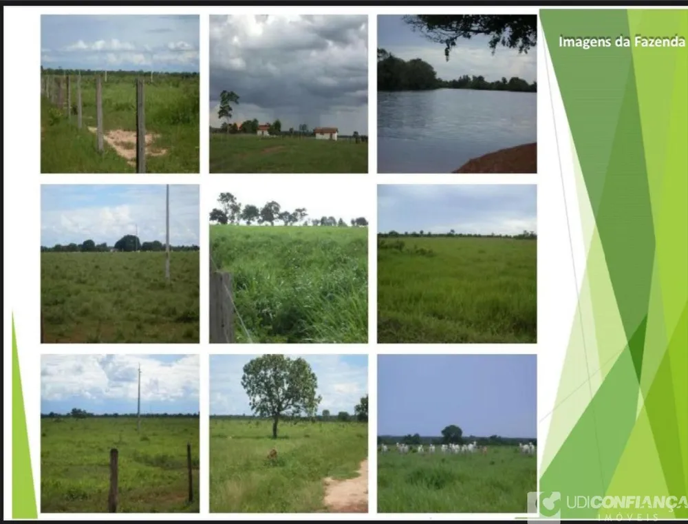 Fazenda - Foto 1