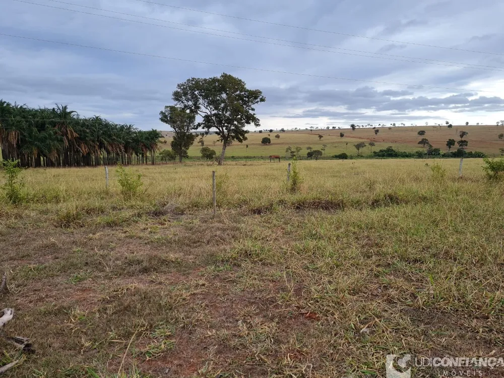 Fazenda - Foto 1