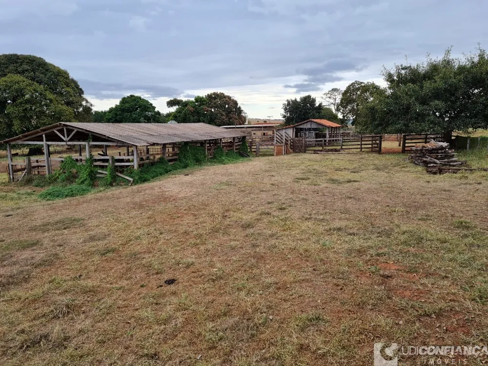 Fazenda - Foto 10
