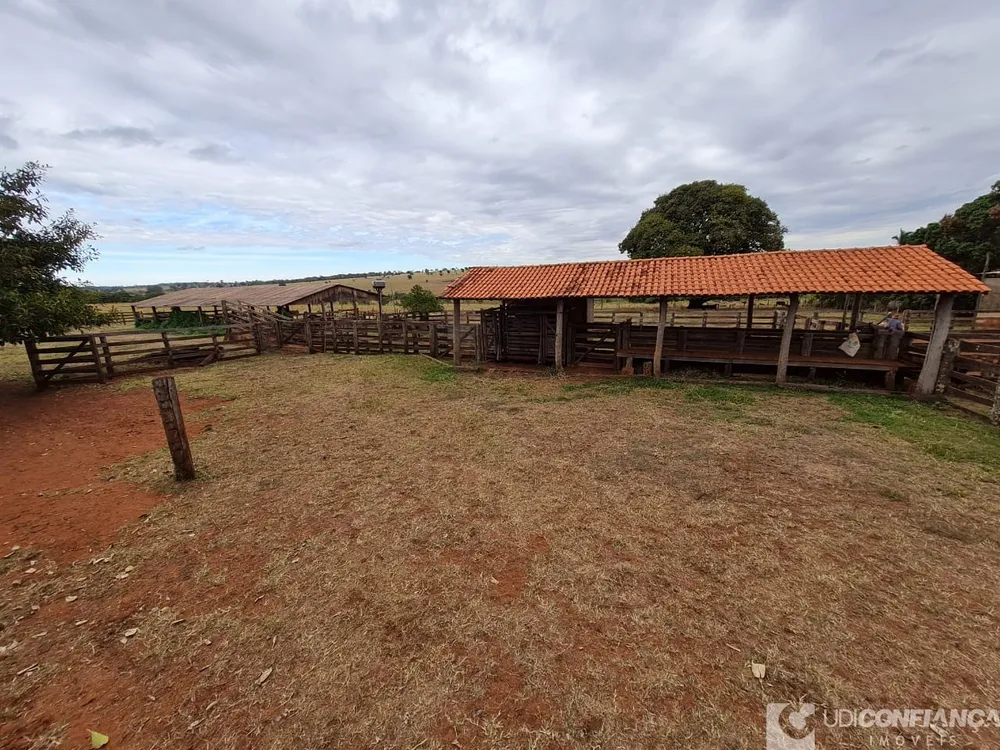 Fazenda - Foto 12